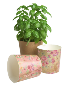 Eco PaperCup 3_Töpfe_Chrysal