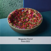 Mitglieder_werben_gross