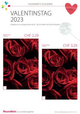 Messer_frei-2