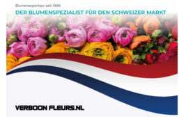 Verboon_Snip_inserat