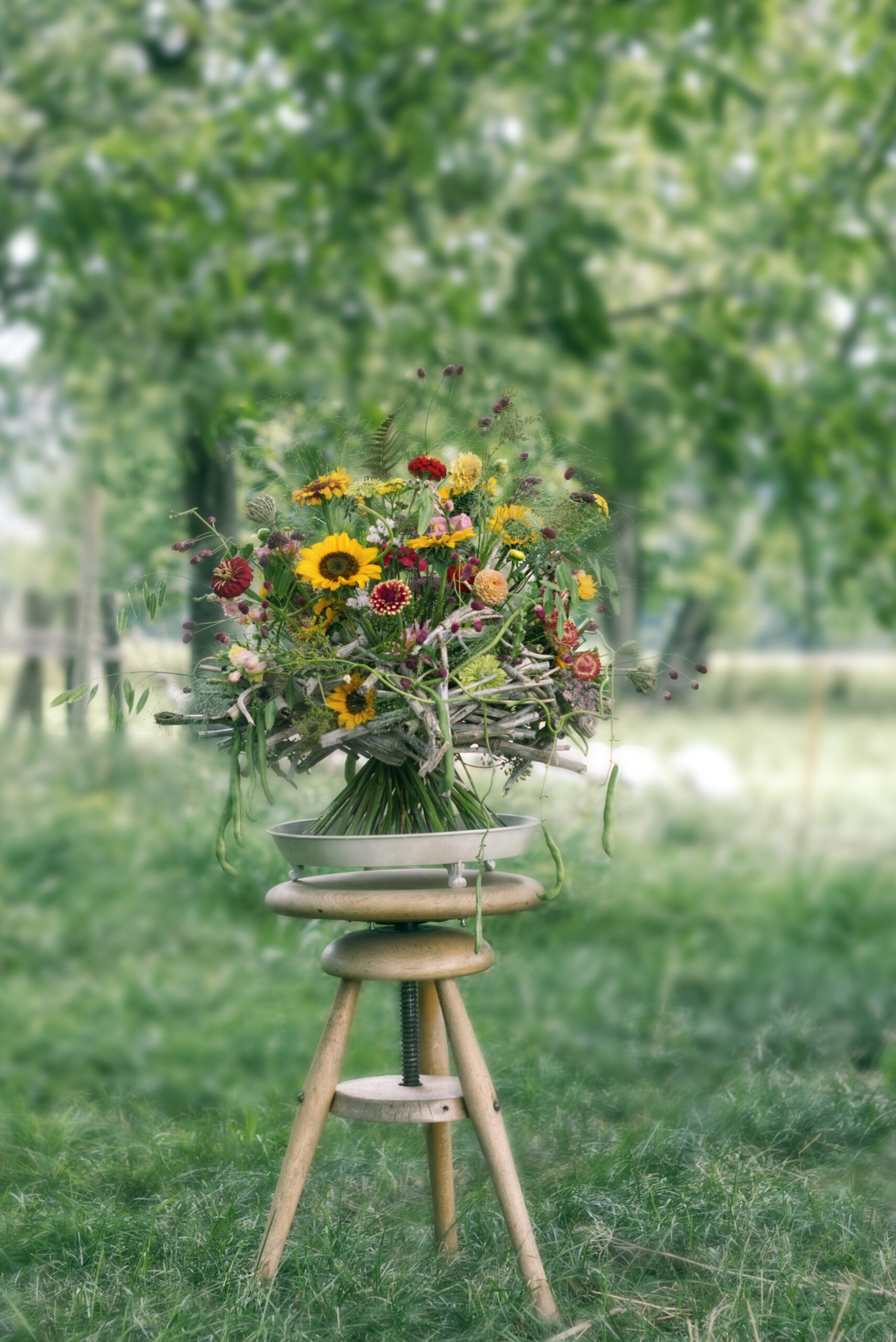 1ère Journée de la Fleur Suisse