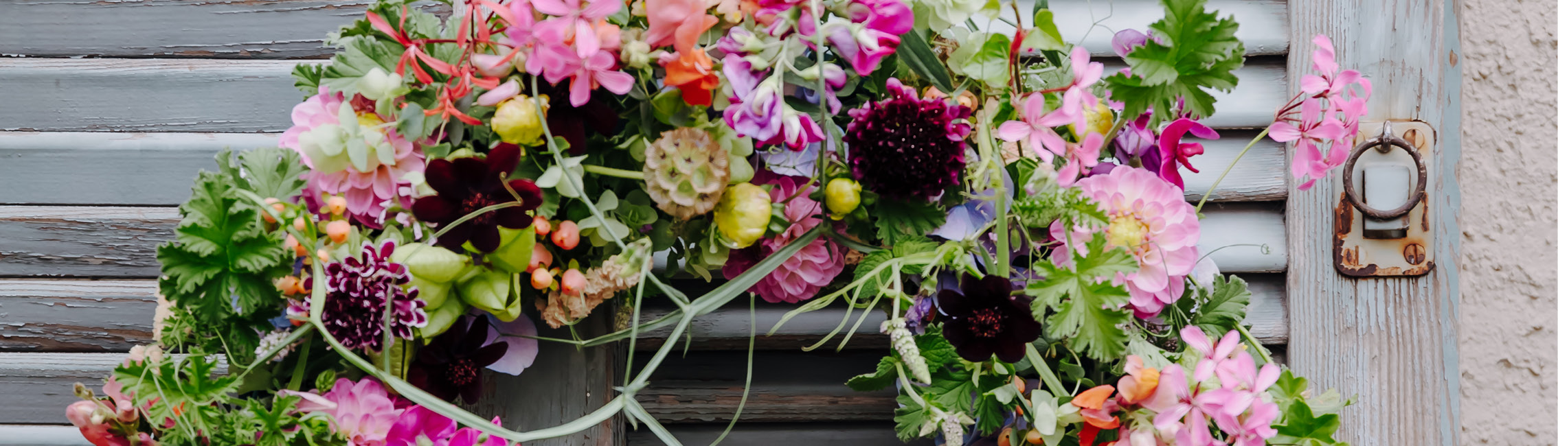 Annonces publicitaires