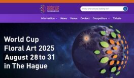 Screenshot 2024-07-09 092134