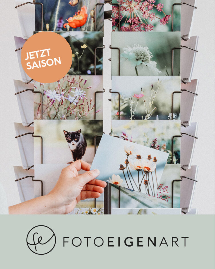 Newsletter_Jetzt_Saison_Sommerkarten_1080x1350 17_05