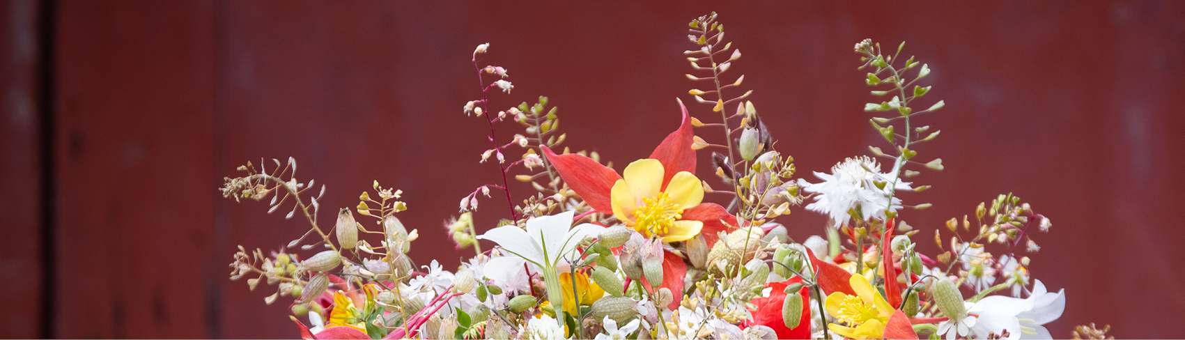 Fachmagazin Florist:in