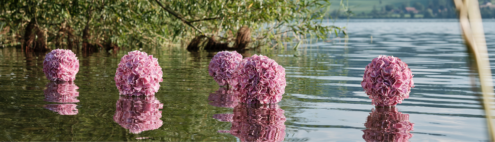 Fleuriste actuelle
