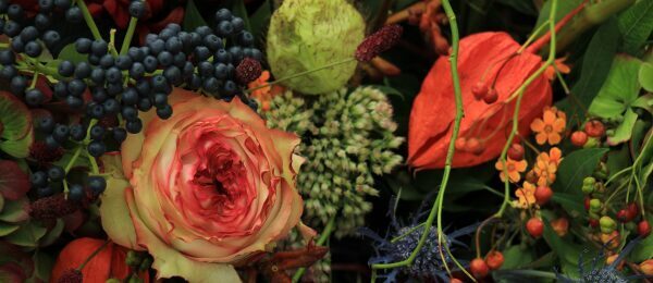 Blumen3