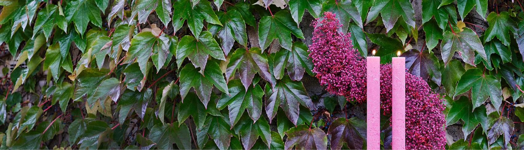 09_25_Header_2