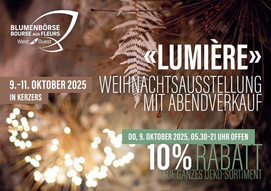 Lumiere-Weihnachtsausstellung