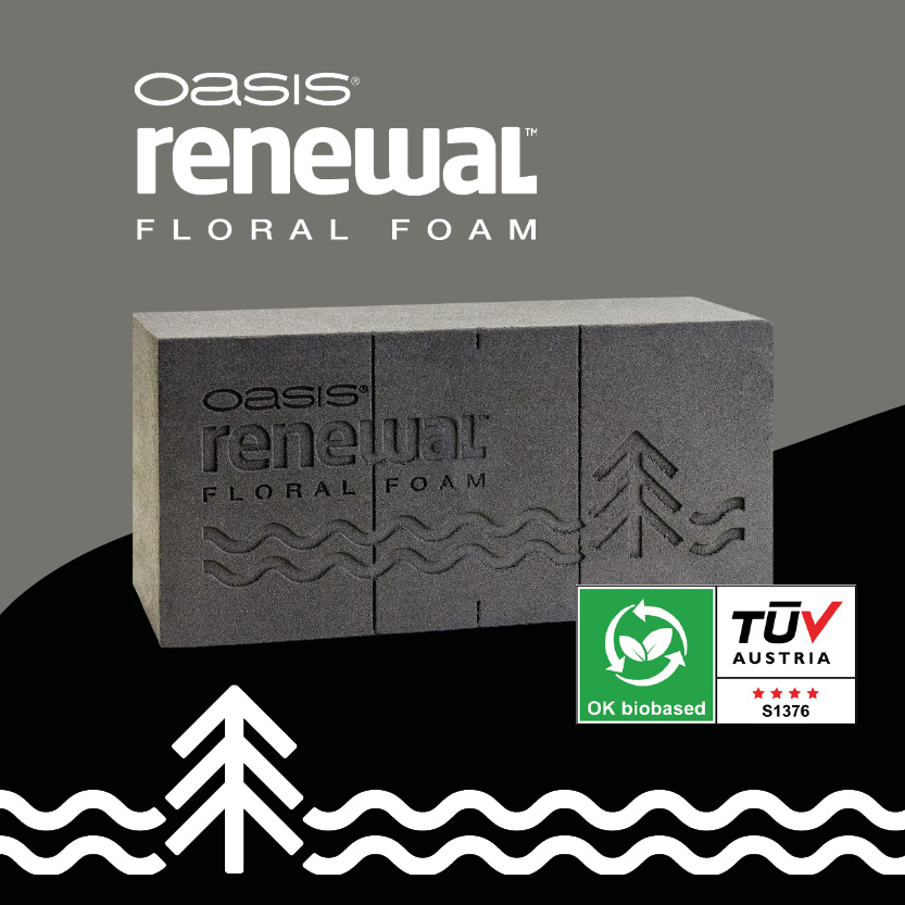 Newsletter-Renewal_01b