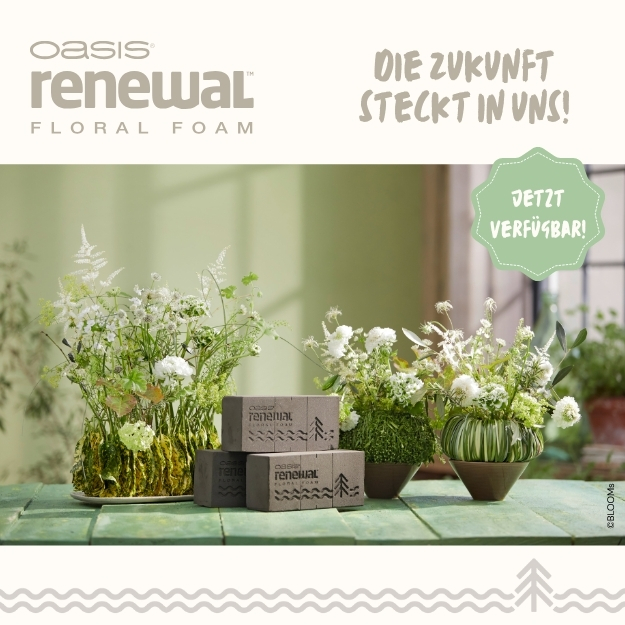 OASIS-Newsletterbeitrag
