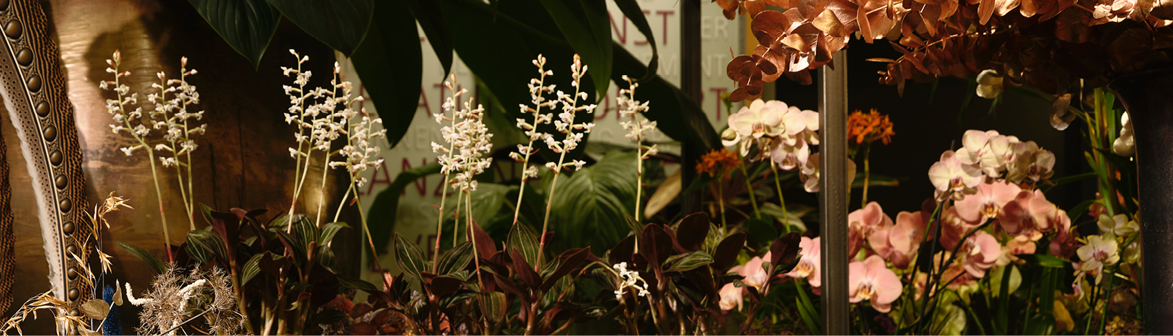 Fachmagazin Florist:in