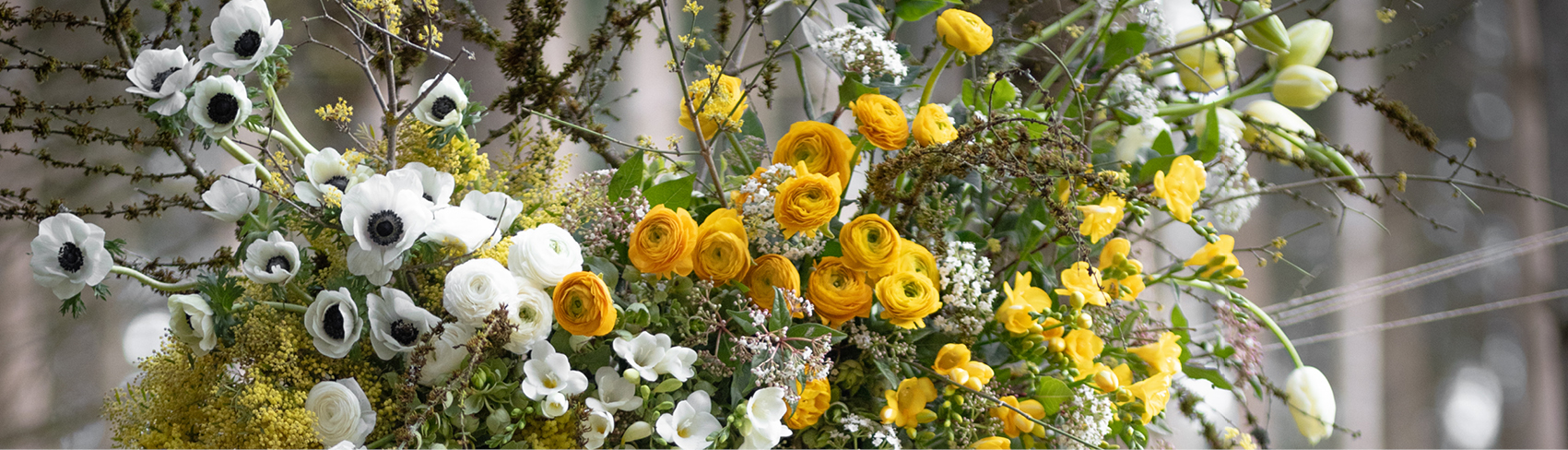 Magazine spécialisé Fleuriste