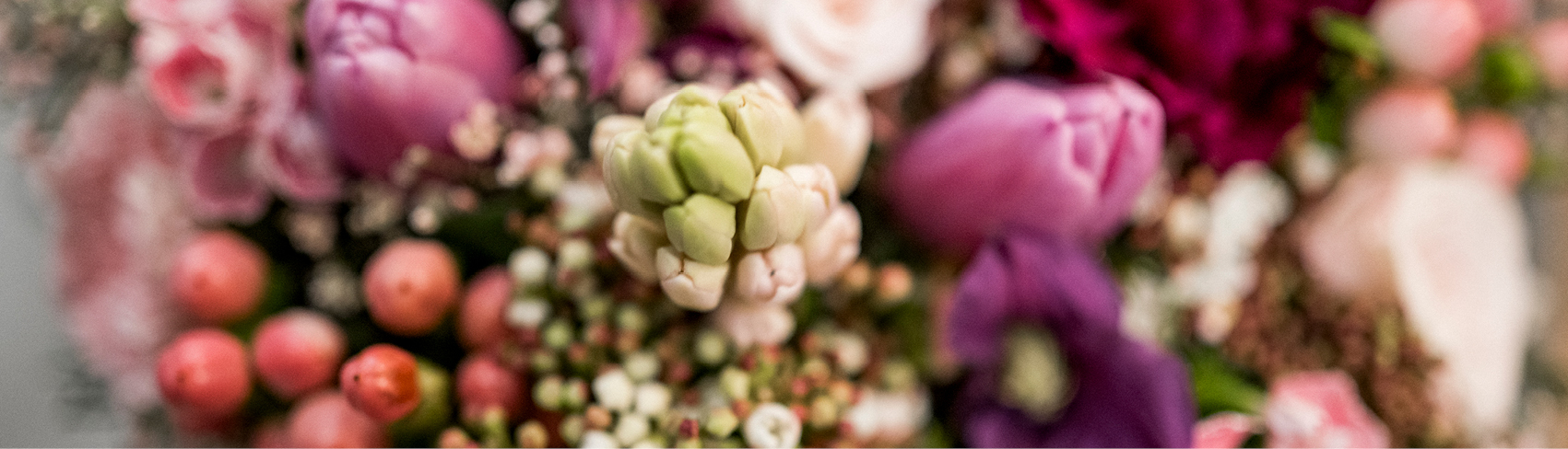 Echantillon édition actuelle