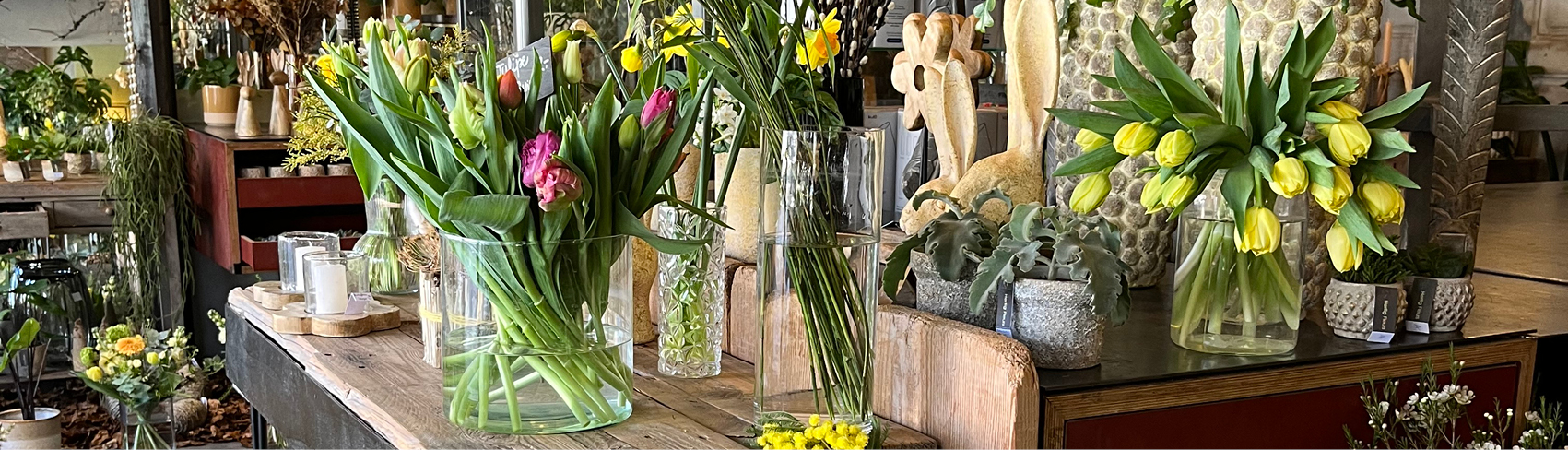 Echantillon édition actuelle