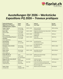 Messer_frei-2
