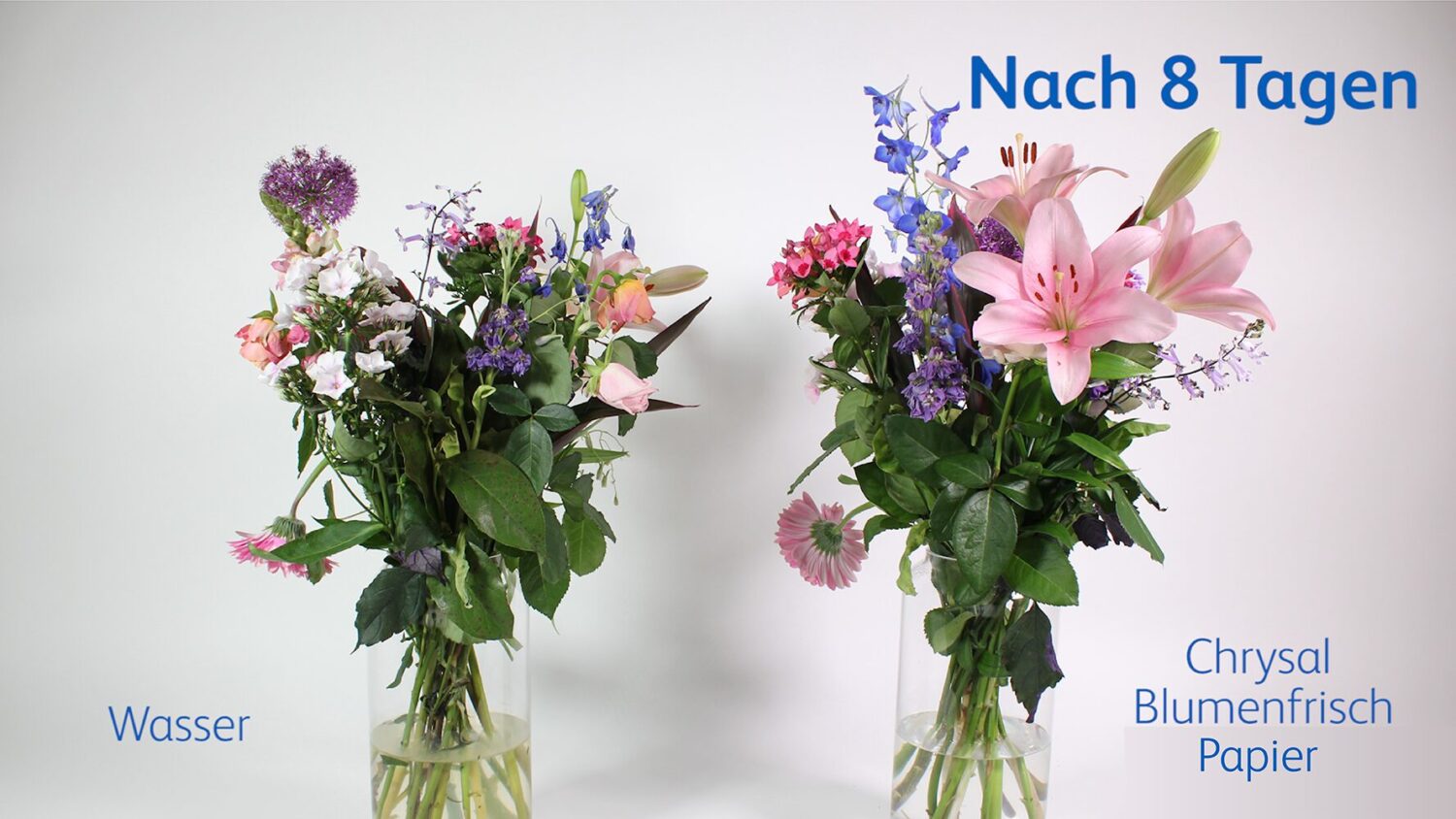 Vase Life Papiertütchen_1000x1777Px