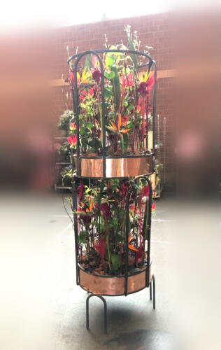 1CEAE544-ABF0-4CDF-9A78-CFDC04DED21B