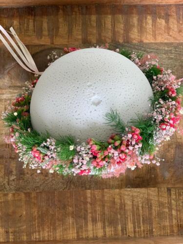 0C838423-B48C-45FD-BACB-4D7E1E3547DD