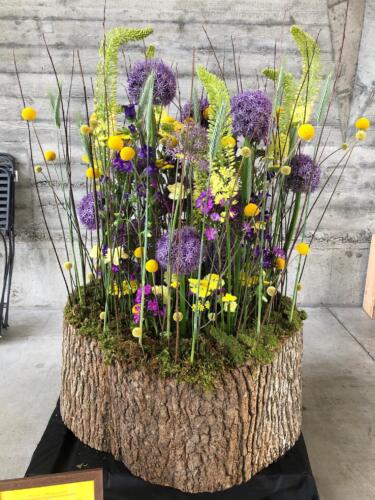 15AE19BE-6BC6-4E76-8425-9EBBF2F36455