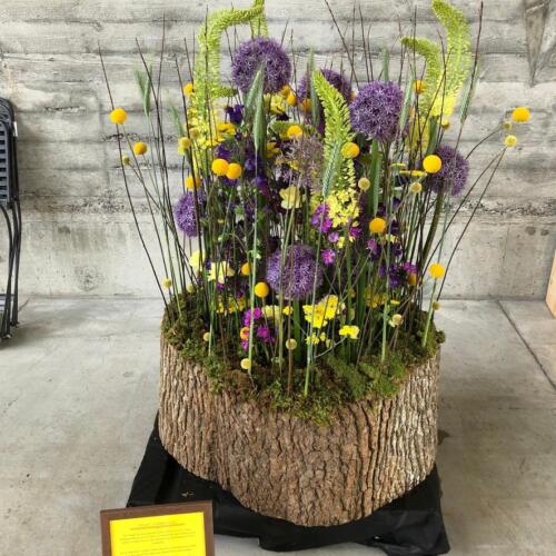 162064B3-CDF4-411C-958C-5F143FC9F139