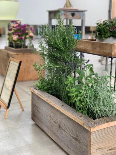 2135CA84-717C-4D25-86A7-49DDECCF0E49