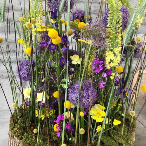 238BD839-C613-4154-8A98-E1A01FBA614C (1)