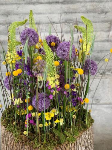 32E3E6EE-1739-4DFF-BC0E-EAAE73D4E50F