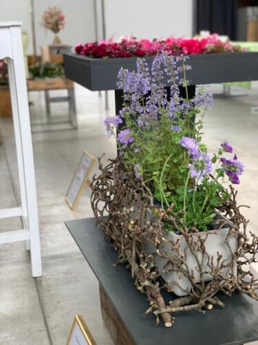 42985134-0CEE-4F30-8D0D-BA40A3D95B70