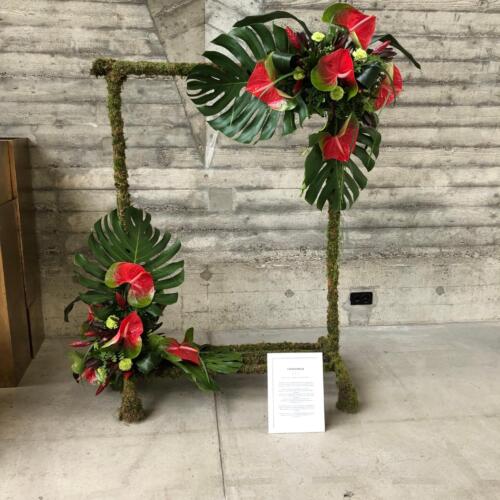 5E9BD71A-5689-4ED5-B315-D1A2E7AD7038