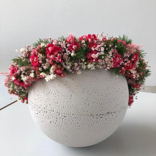 7FF69116-224A-4272-8A57-7B4C8158632A