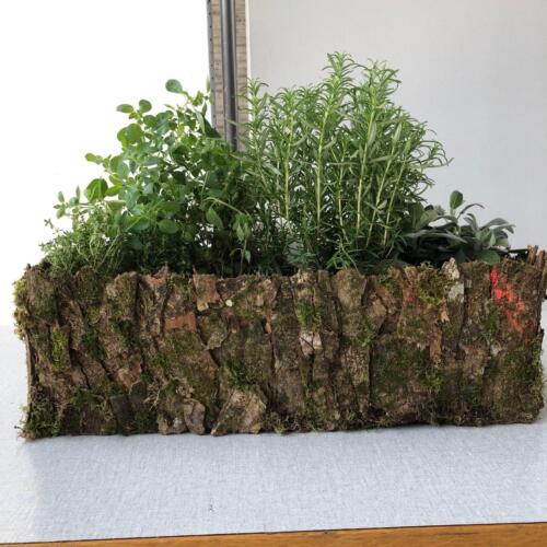 C669E057-9B8E-4176-ACAE-F41DAD39D385