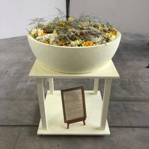 CE2F7242-2E5E-4E47-8753-B7237FA5C8E1