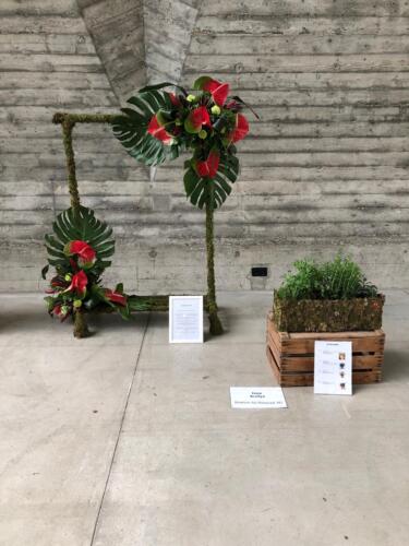 D34E5AAC-AF94-49B9-969E-333B7879D84B