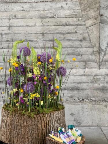 FC215E86-A048-4C37-90D7-6ADD48358FAC