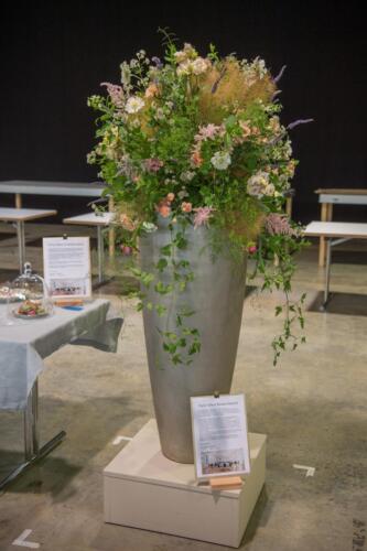 unbenannt-114-von-382