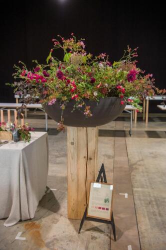 unbenannt-126-von-382