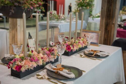 unbenannt-138-von-382