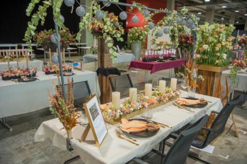 unbenannt-143-von-382