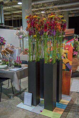 unbenannt-167-von-382