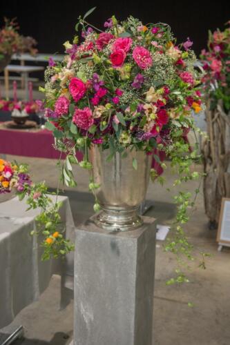 unbenannt-186-von-382