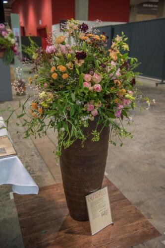 unbenannt-19-von-382