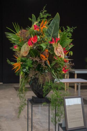 unbenannt-205-von-382