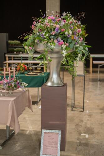 unbenannt-212-von-382