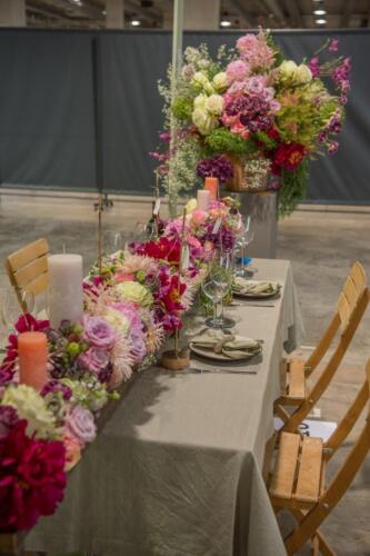 unbenannt-250-von-382