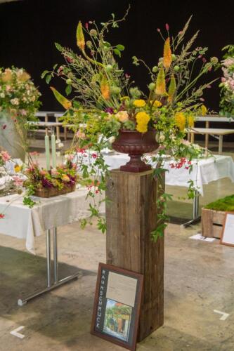 unbenannt-46-von-382