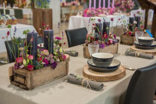 unbenannt-91-von-382