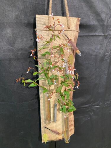 IMG-20220619-WA0033 (1)