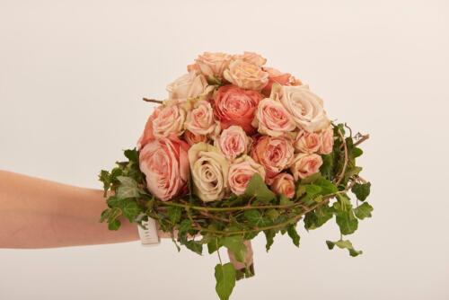 BKN1703-rcm1920 (1) (1)